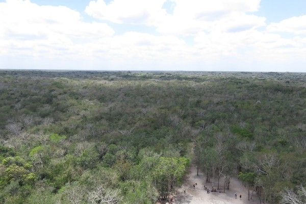 Ruines Maya